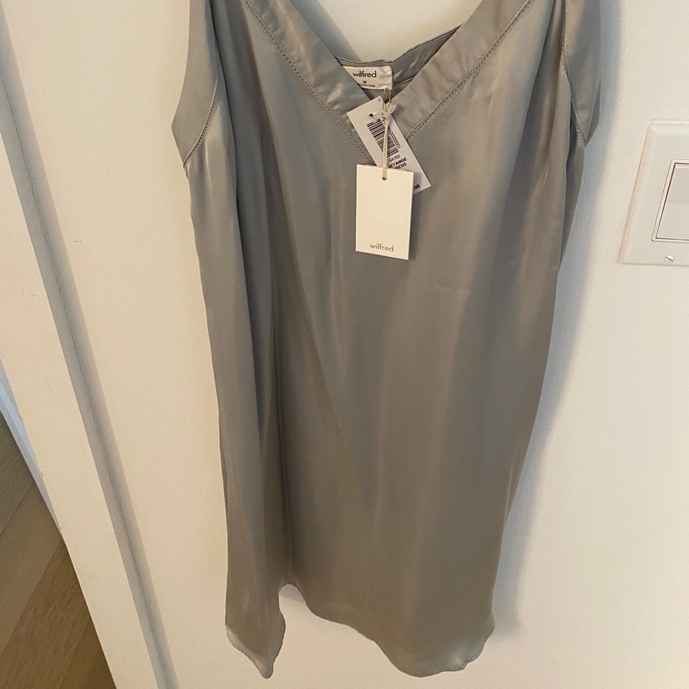 Aritzia Slip Dress